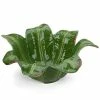 Bordallo Pinheiro - Madeira Banana Leaf Salad Bowl 37cm -Profile Shop 445238 Large